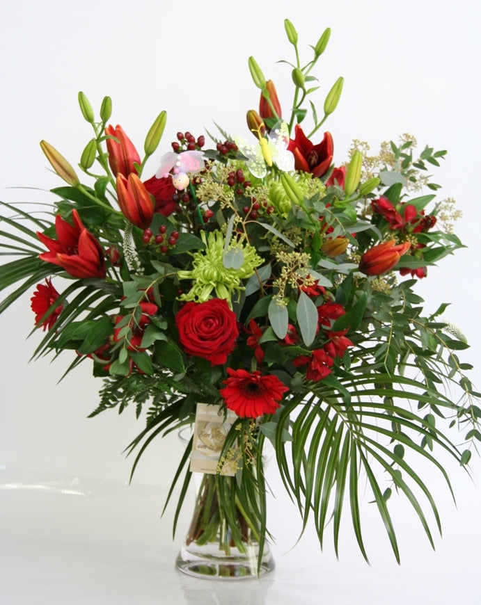 Rouquet Red Green Gloria Neues Zuhause