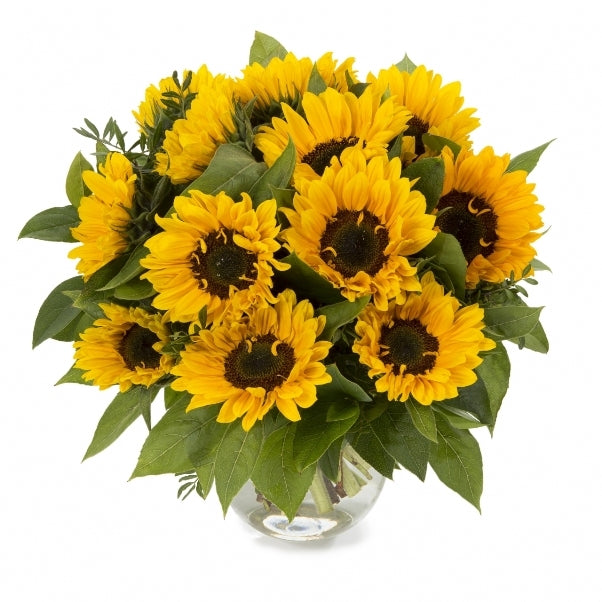 5 Sonnenblumen