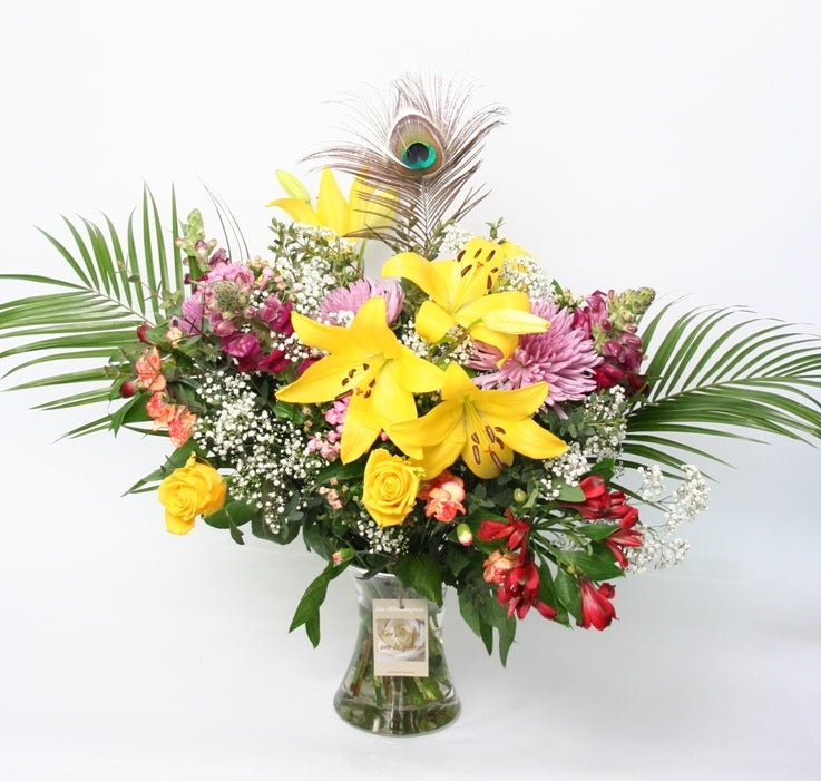Bouquet Pauwen stolzes neues Zuhause