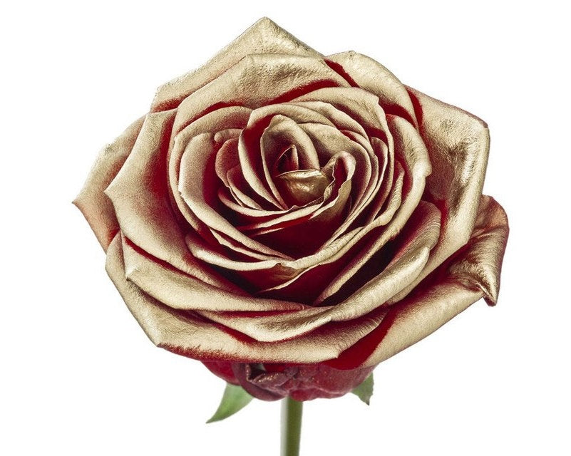 Blumenstrauß mit rot blühender Rosen mit goldenem Rouge