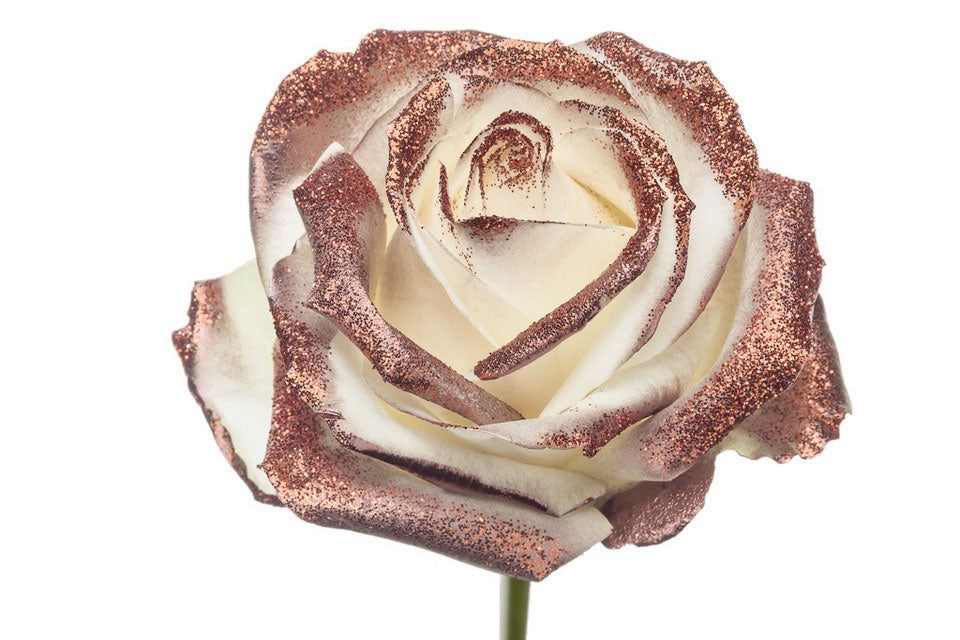 Blumenstrauß mit großen weißen Rosen mit Kupferglitter