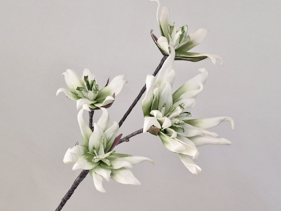 Schaumblüte Zweig weiß grün Ø 18 cm