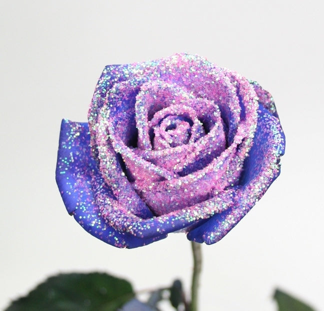 Blue Roses mit rosa Glitzer