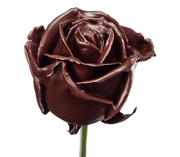 Wachs Rosenstrauß Brown