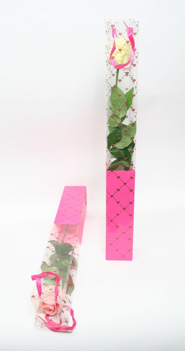 1 Rose in einer luxuriösen Röhre aus 10 Rosen mit Röhre