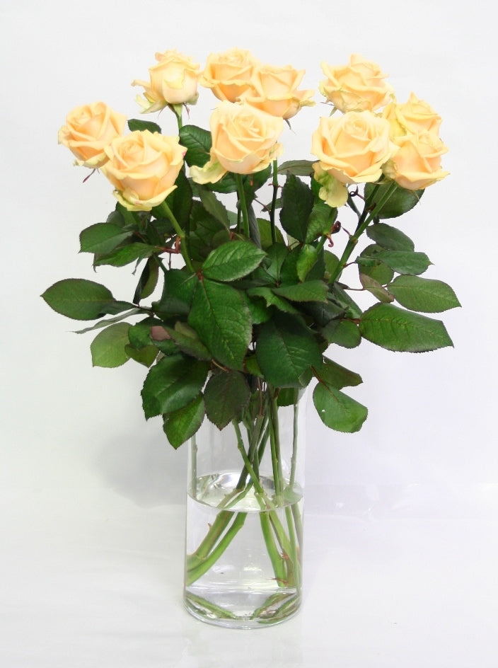 Rosenstrauß von 10 langen großen Pfirsichrosen