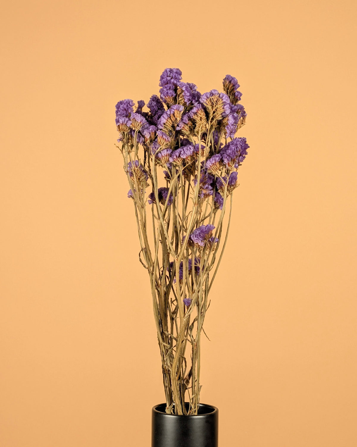 Getrocknete Statice Sinuata Donker Violet