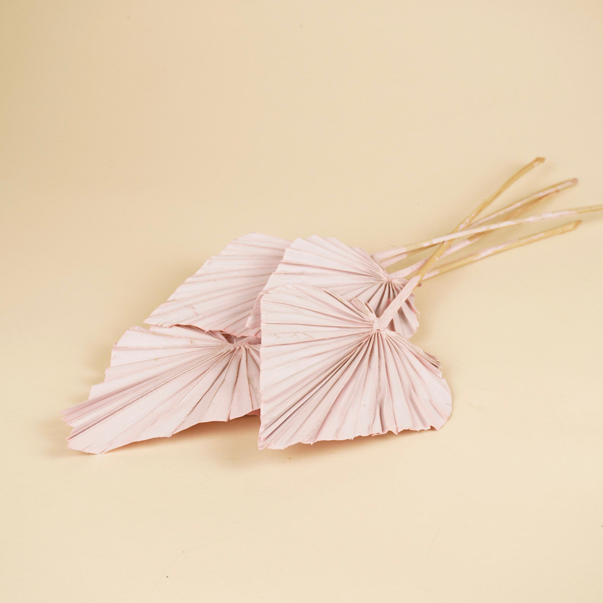 Palmspeerlachsrosa