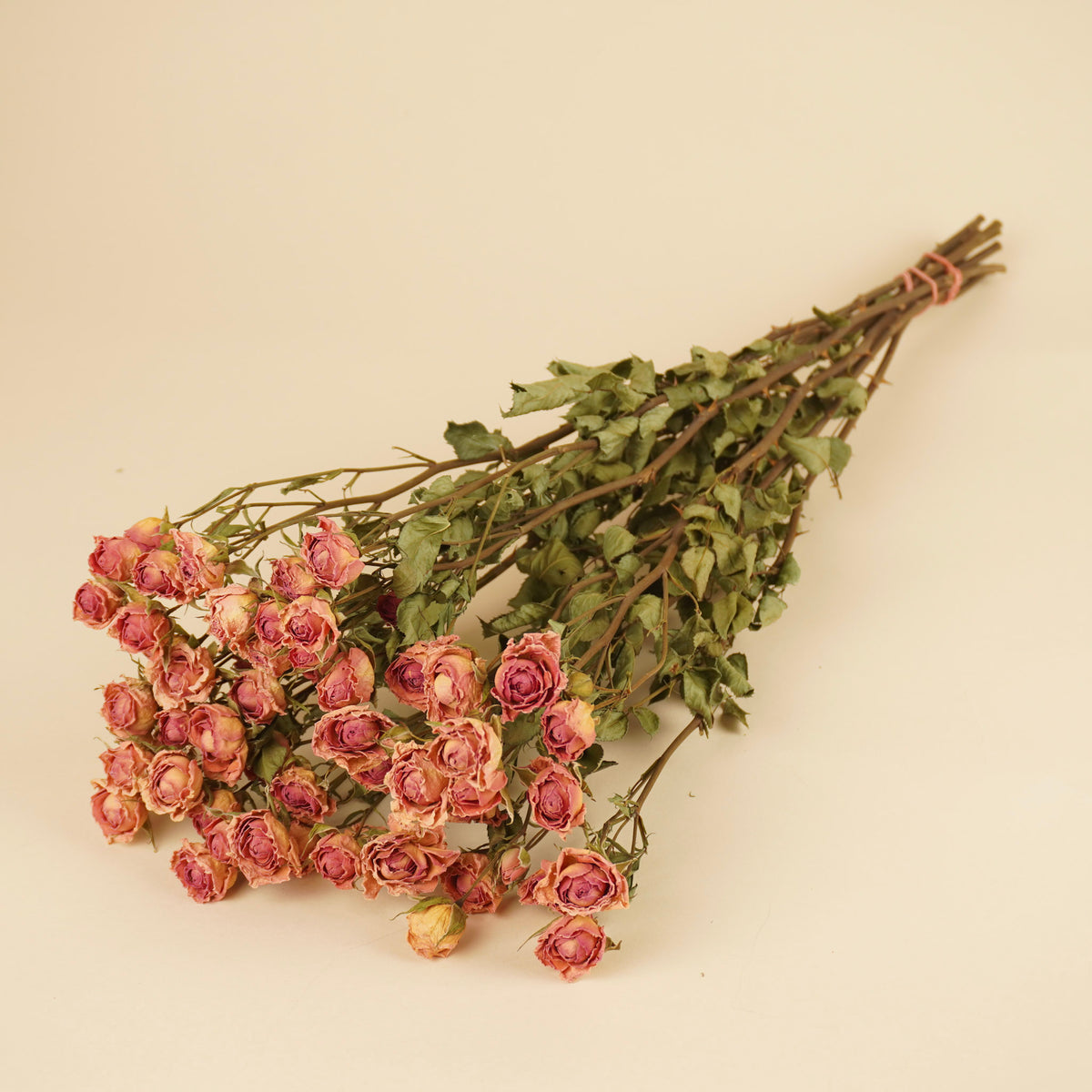 Getrockneter rosa Haufen