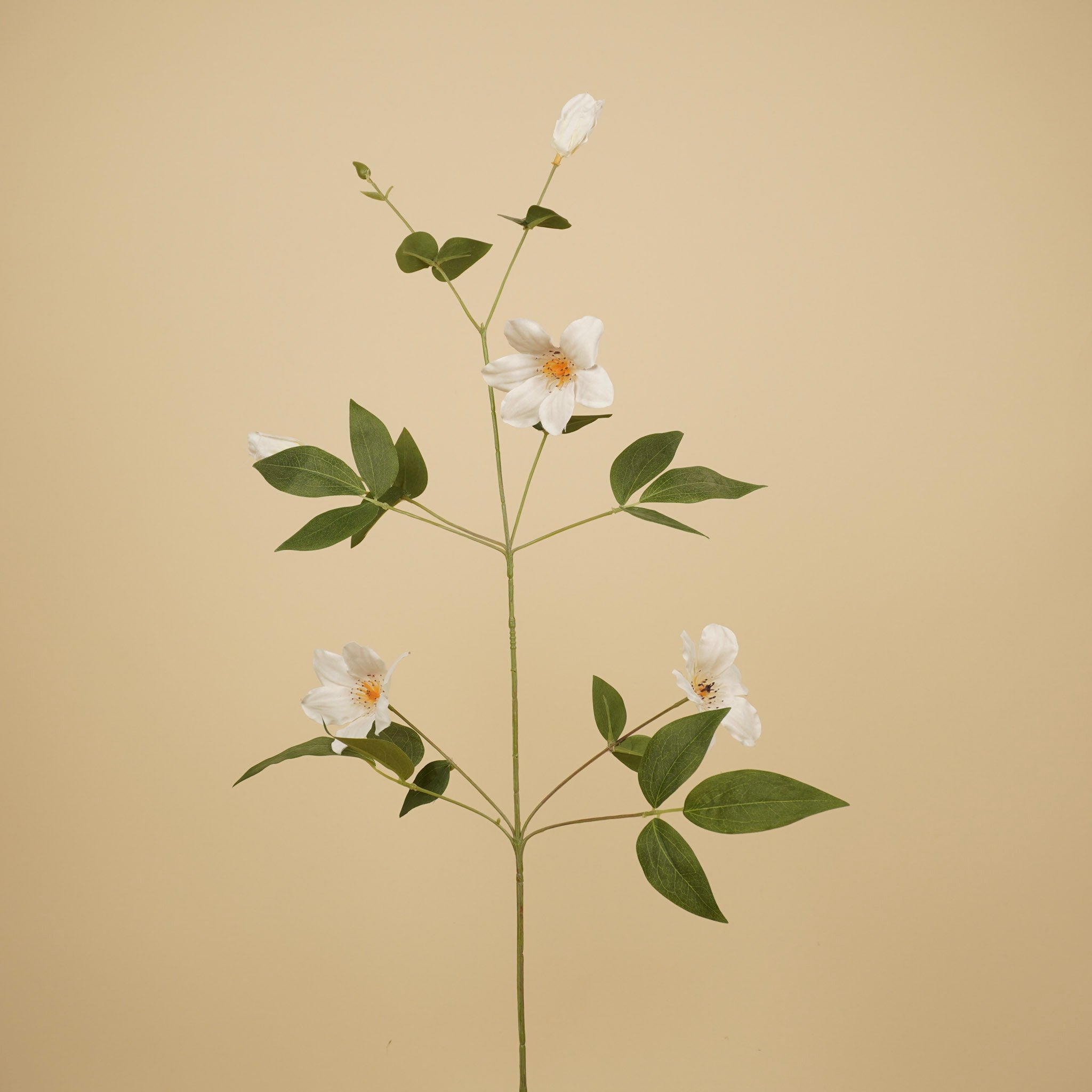Zijde Clematis – Wit (82 cm)