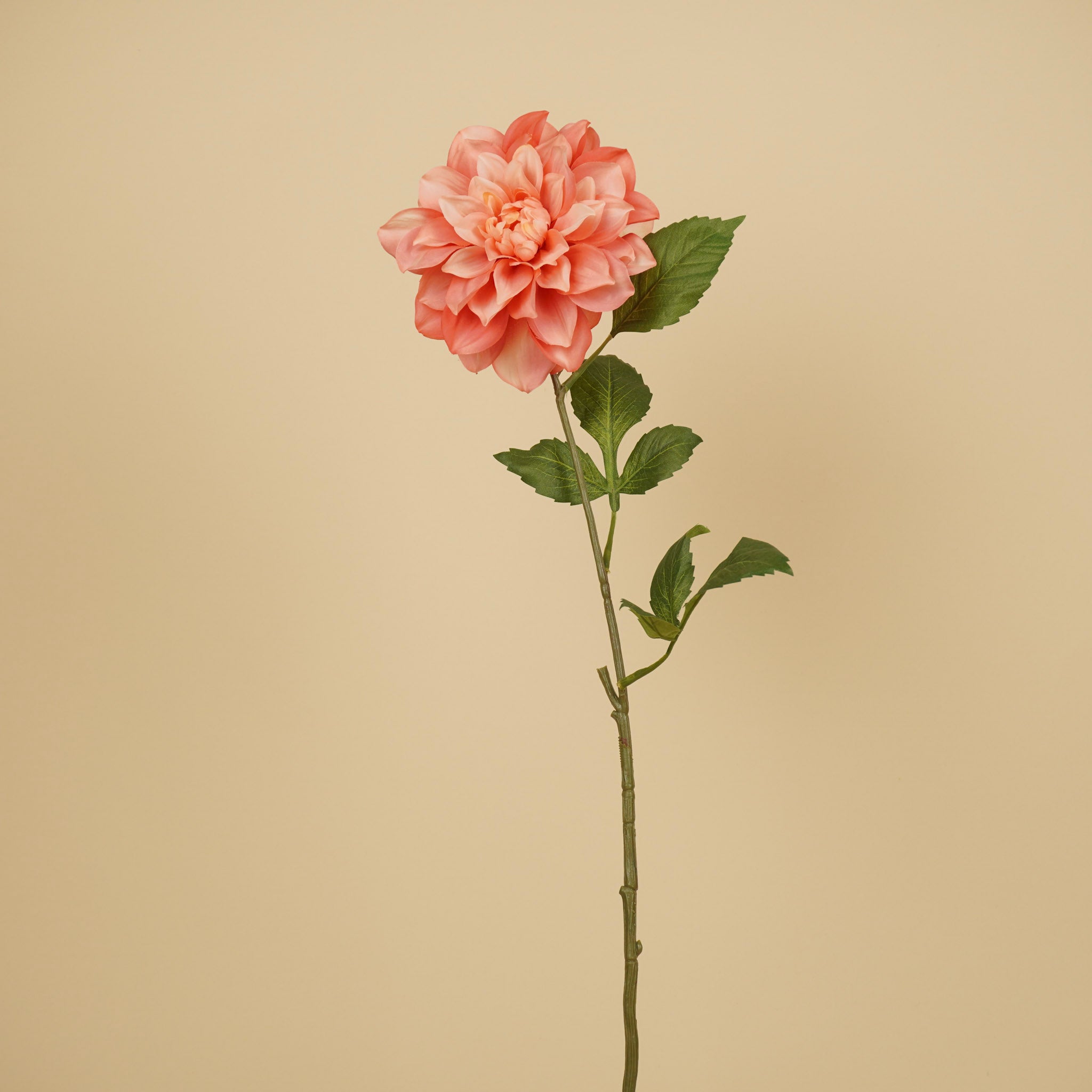 Zijde Dahlia – Zalmroze (72 cm)