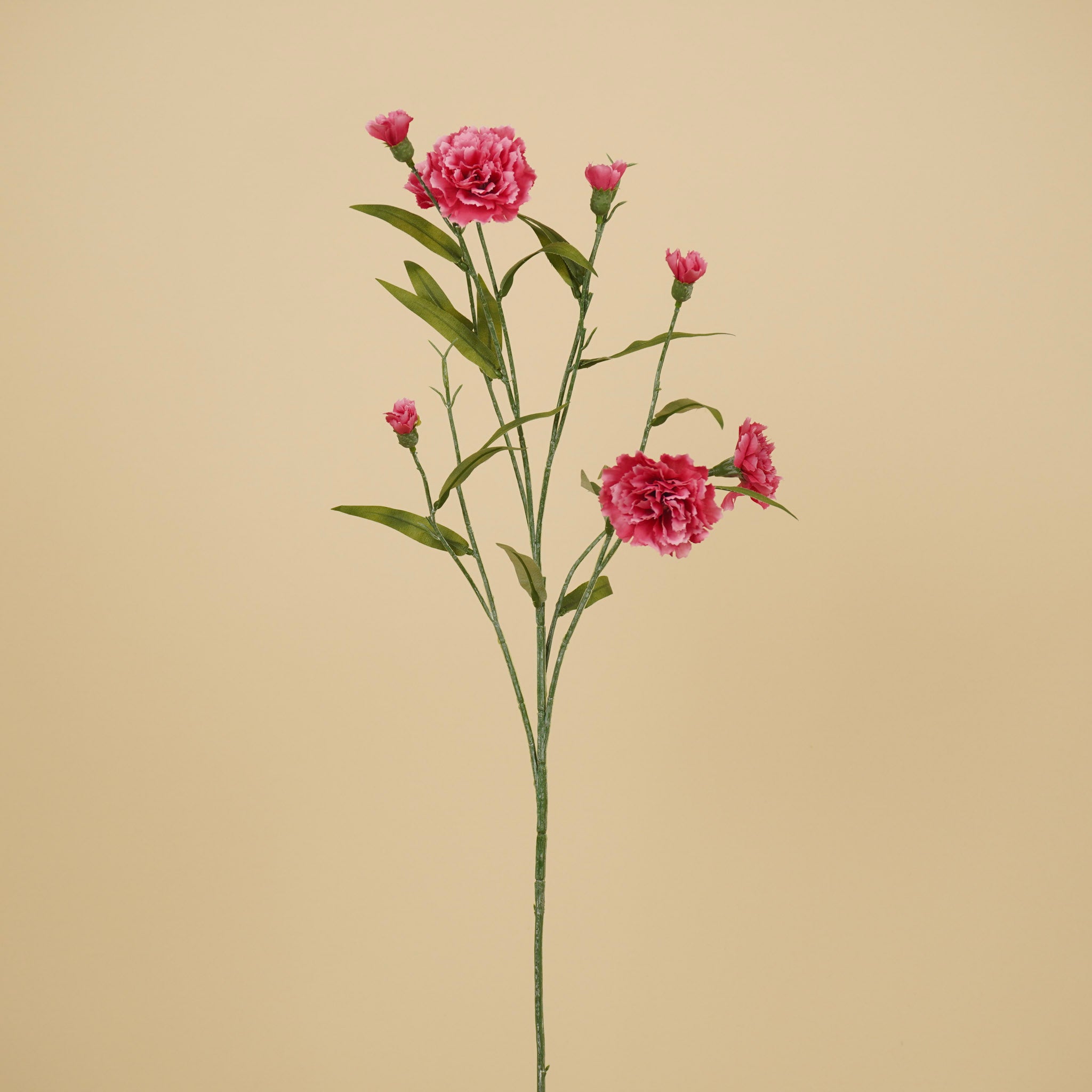 Zijde Dianthus – Roze (70 cm)