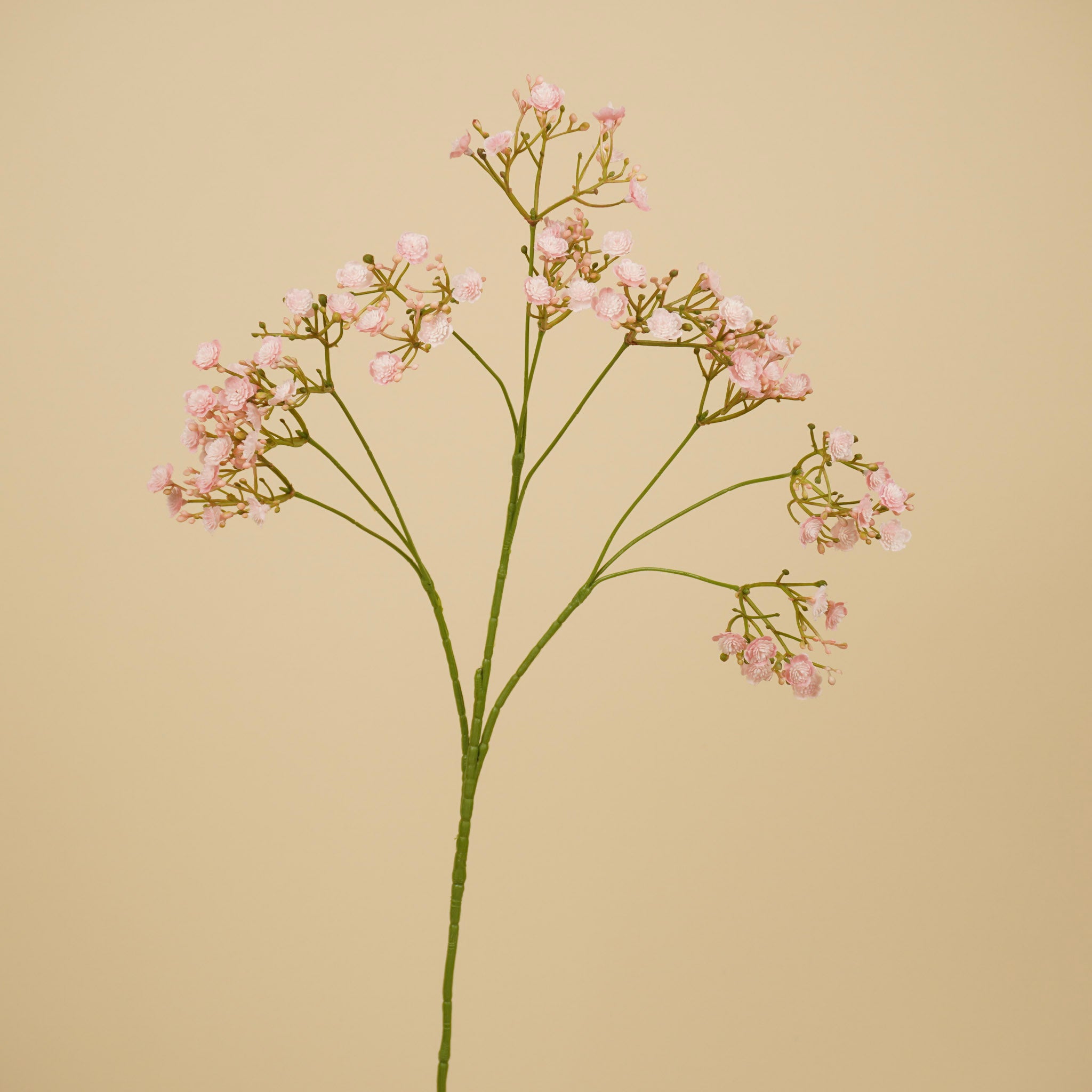 Zijde Gypsophila – Roze (68 cm)