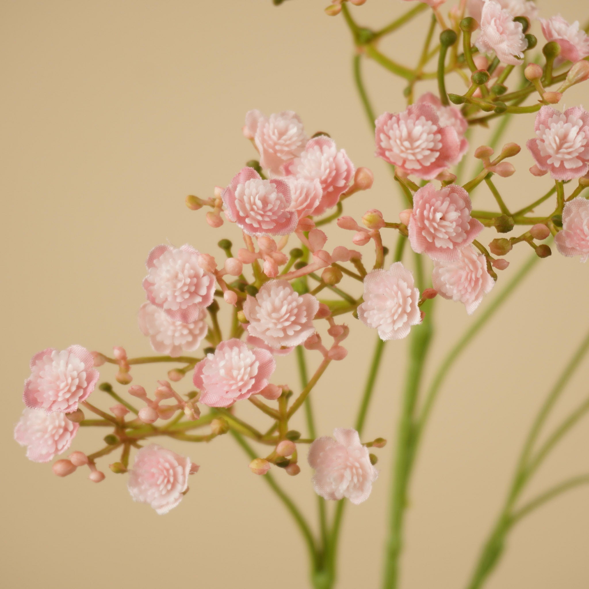Zijde Gypsophila – Roze (68 cm)