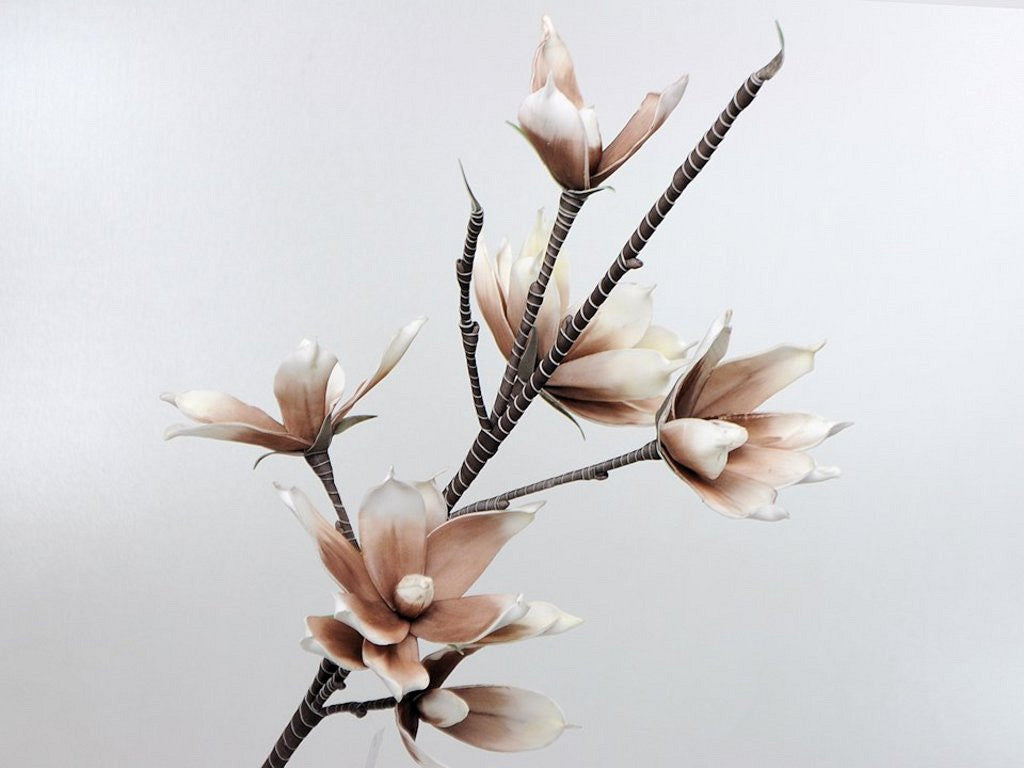 Foam Magnolia White/Mocca, D 18 cm