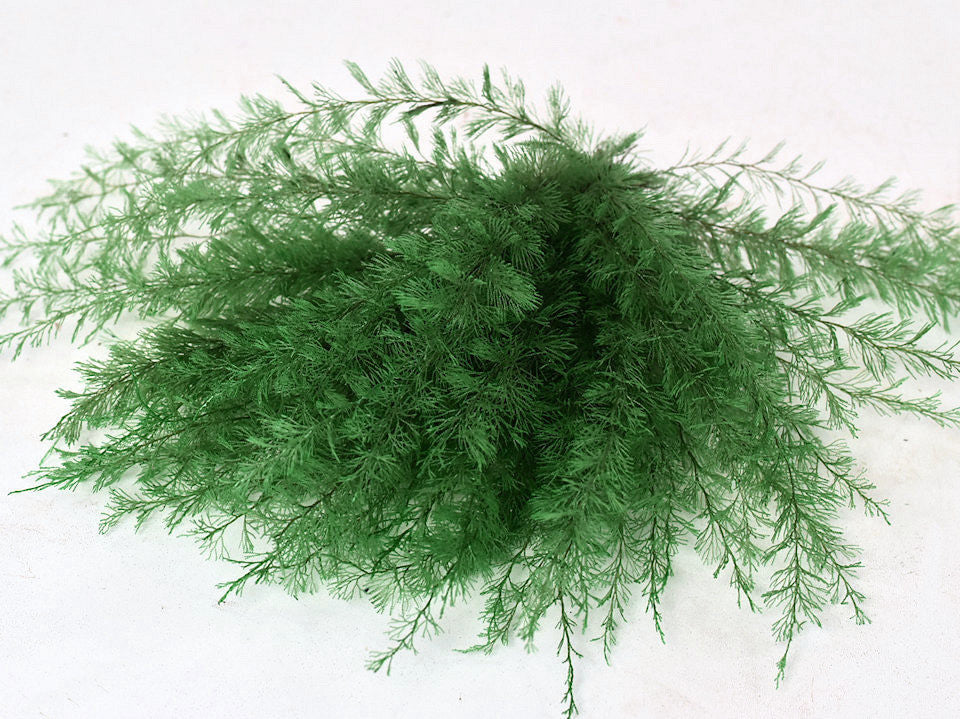Luftfarnmosgroen 15 cm 5-Pack