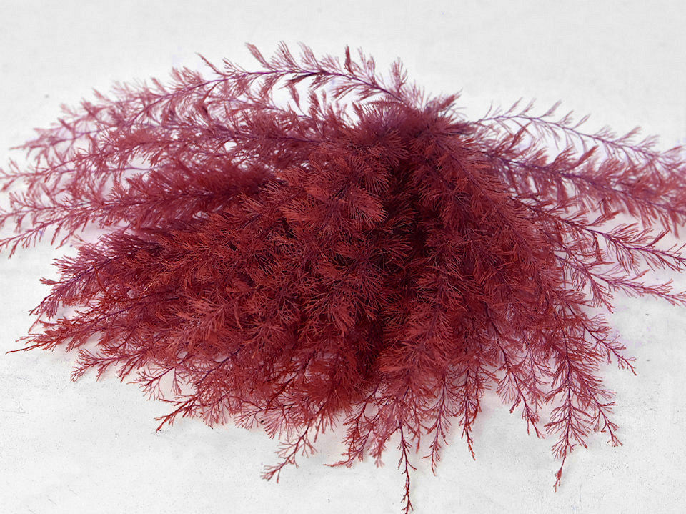 Air Farn rot 15 cm 5-Pack