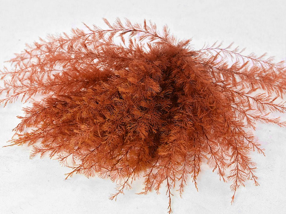 Air Fern Oranje 15 cm 5-Pack