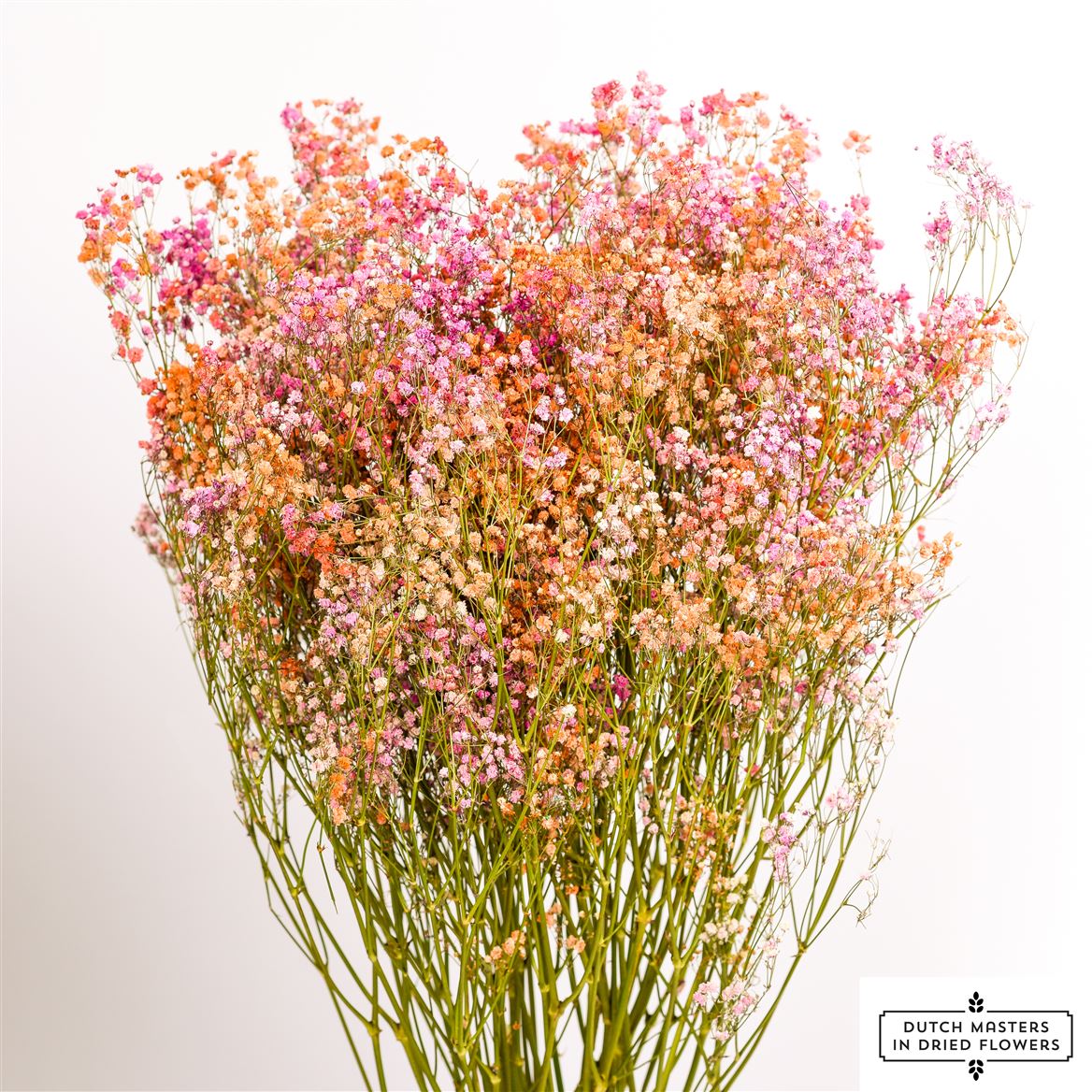 Gipspraid disco mix pink & orange getrocknet