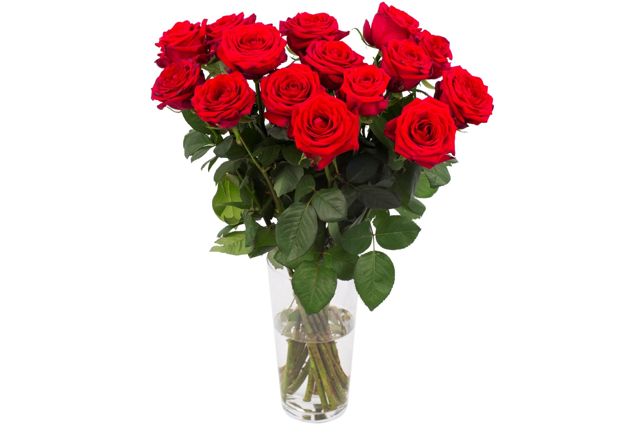 Bouquet von 15 roten Naomi -Rosen