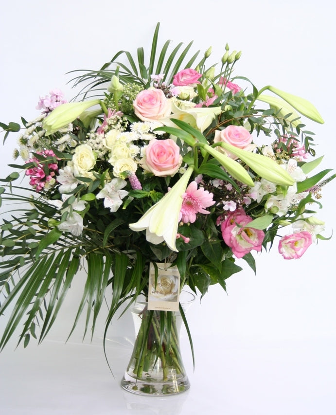 Tendresse Rosa Weiß erwartet