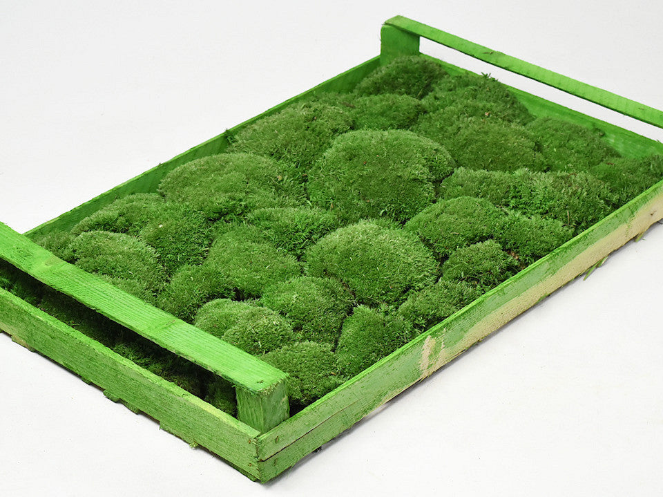 Bolmos Woudgroen (Krat 38x58cm)