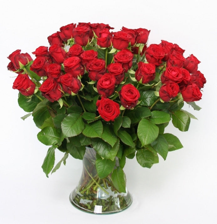 50 rote Rosenstrauß von großen Rosen