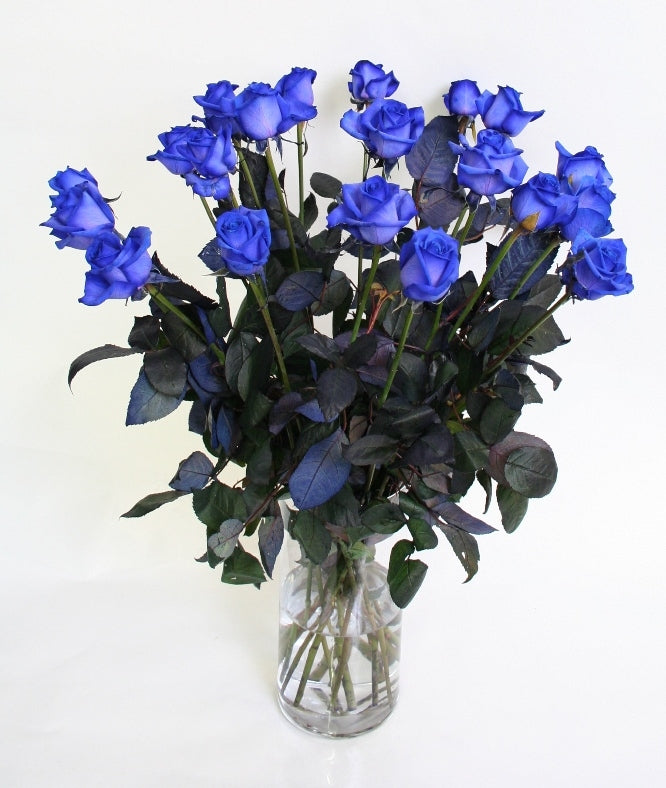 Blaue Rosen Medium mit mittleren Blütenrosen