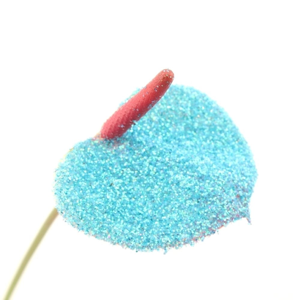 12 Anthurium -Glamour und Glitzer
