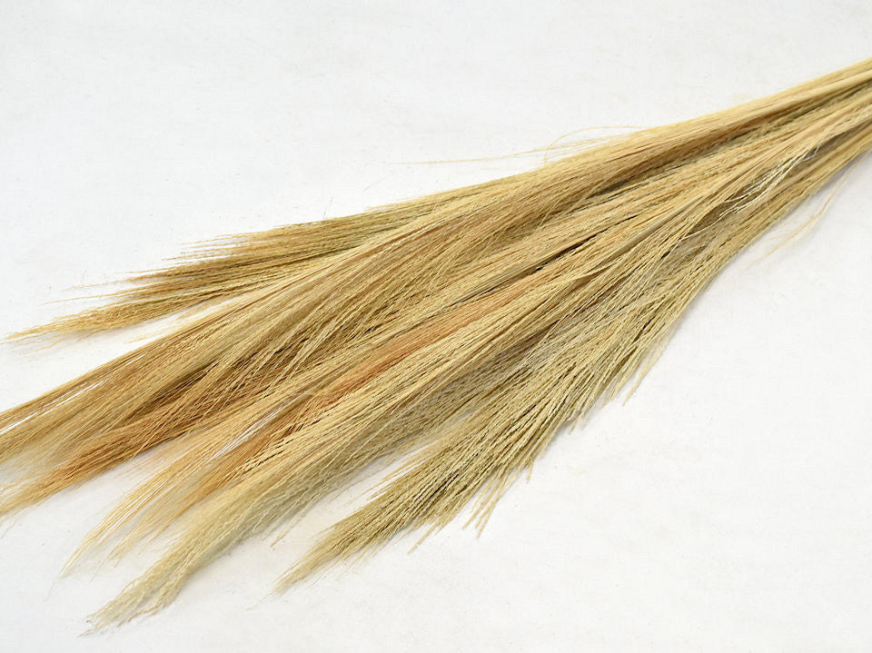 Besen Gras 100gr. ECRU