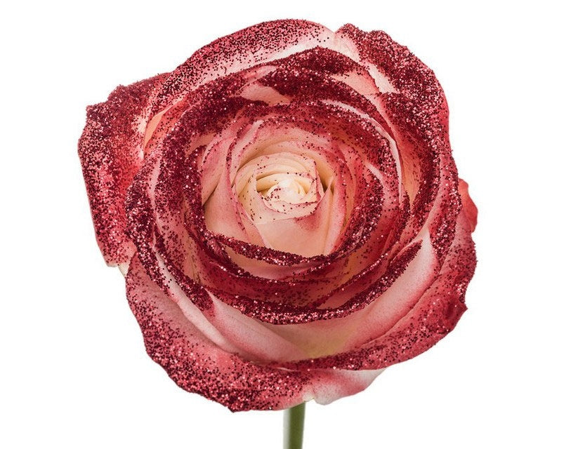 Bouquet aus weißen großen Rosen mit rotem Glitzer