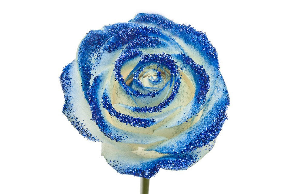 Bouquet aus weißen großen Rosen mit blauem Glitzer