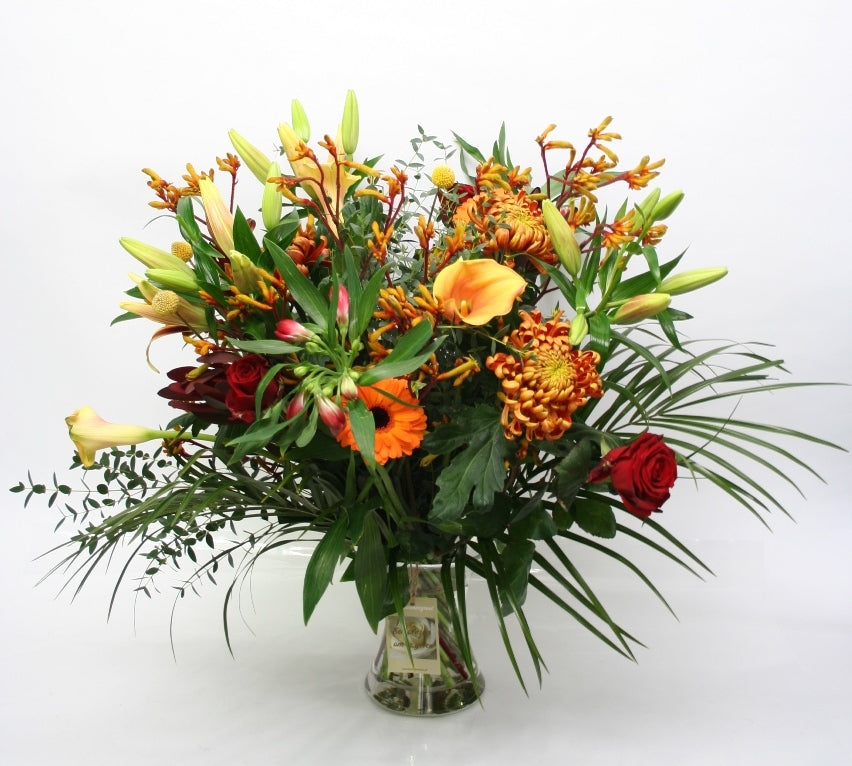 Bouquet Amber wird bald gut