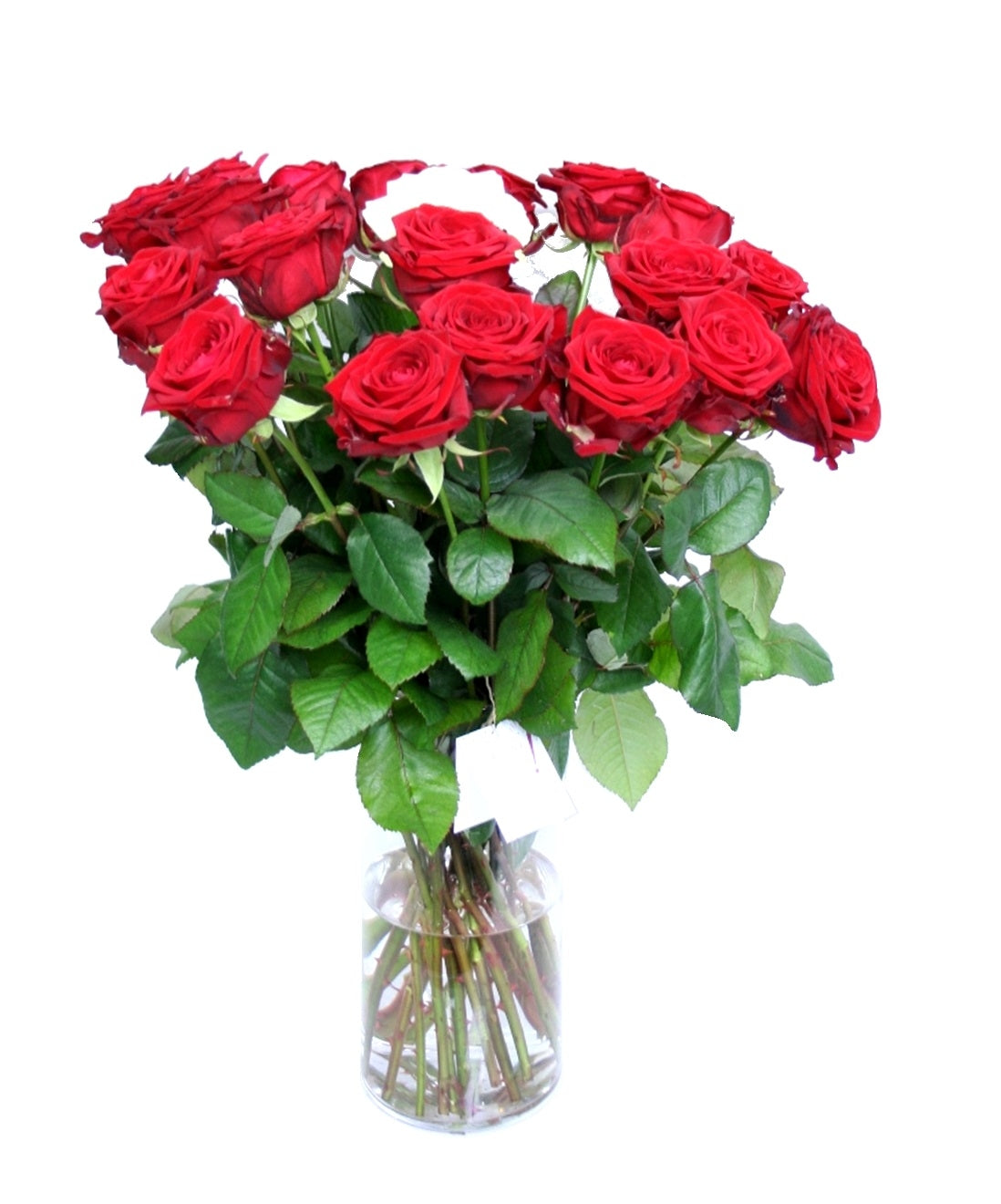 Red Rose Bouquet zum Geburtstag, lange große Blütenrosen