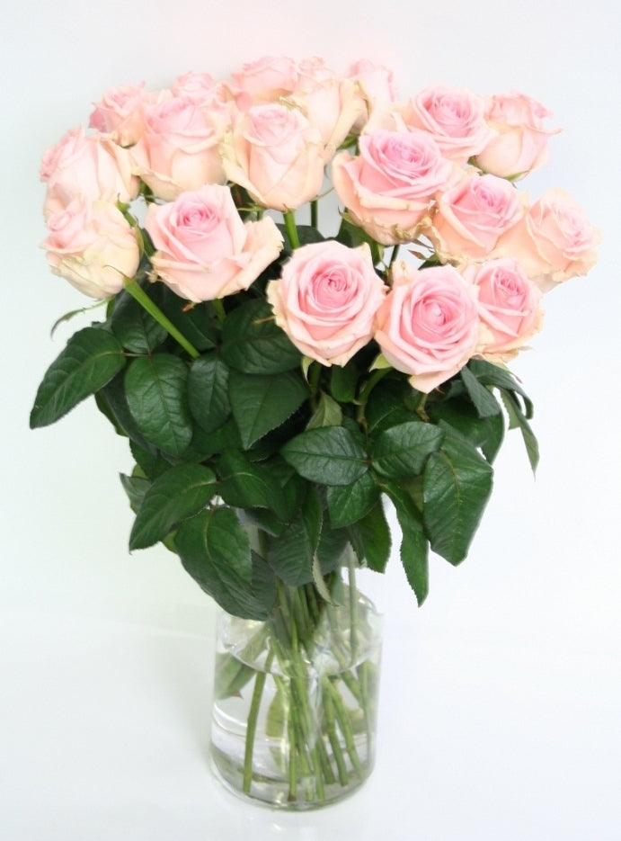 Hellrosa Rosenstrauß von langen großen Rosen