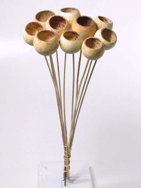 Glockenbecher mit einem Durchmesser von 5 bis 7 cm