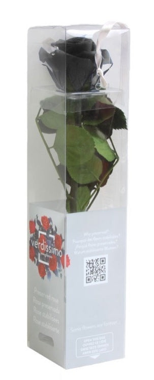 Erhaltte schwarze Rose mit Stahl in einer Geschenkbox