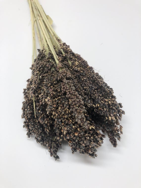 Getrocknete Sorgum -Panselaria Naturel