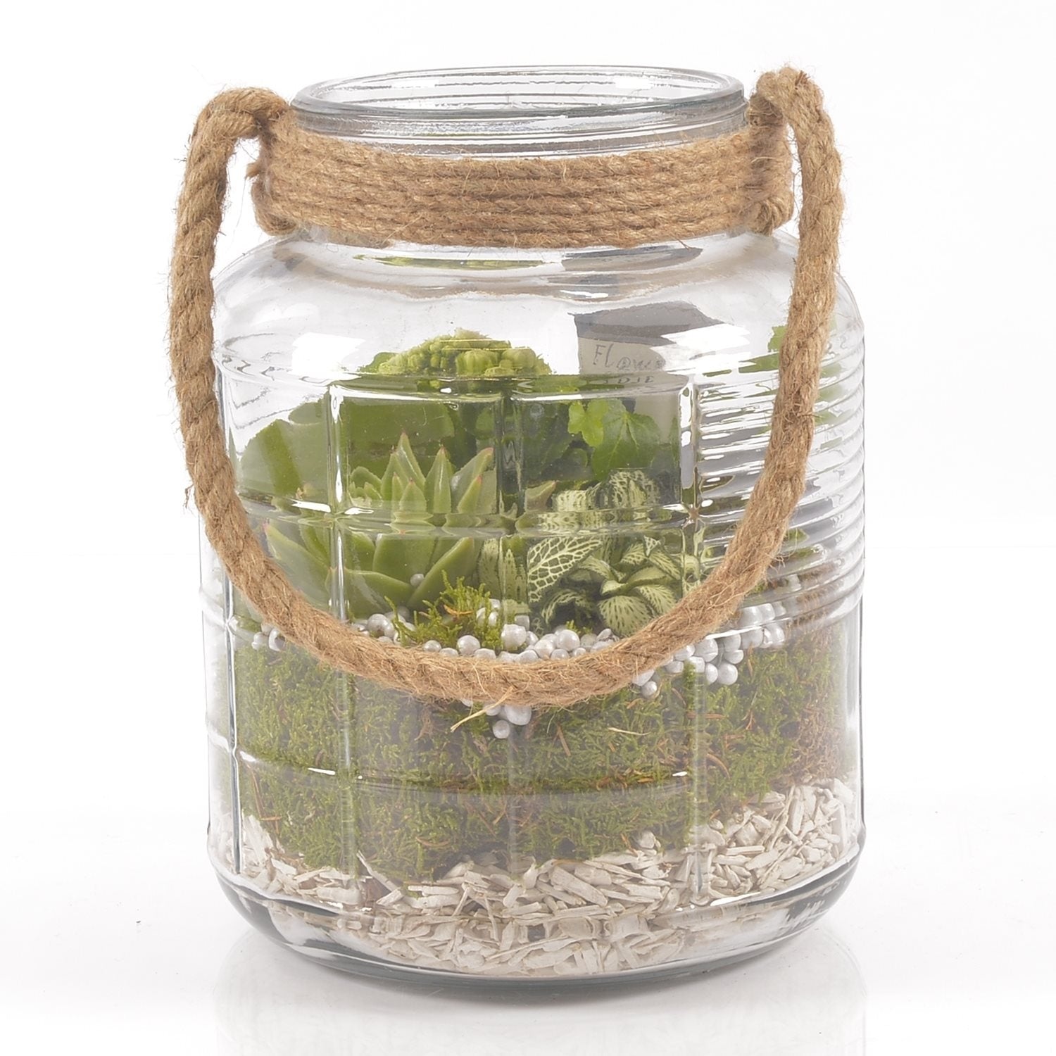 Erfundener Glas Cruz Topf