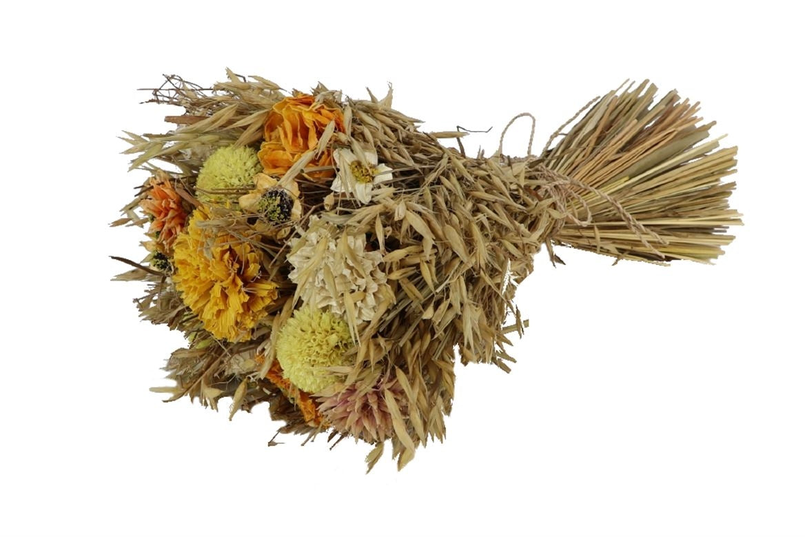Trockene Blumen Bouquet Sheaf Sunny Zinnia
