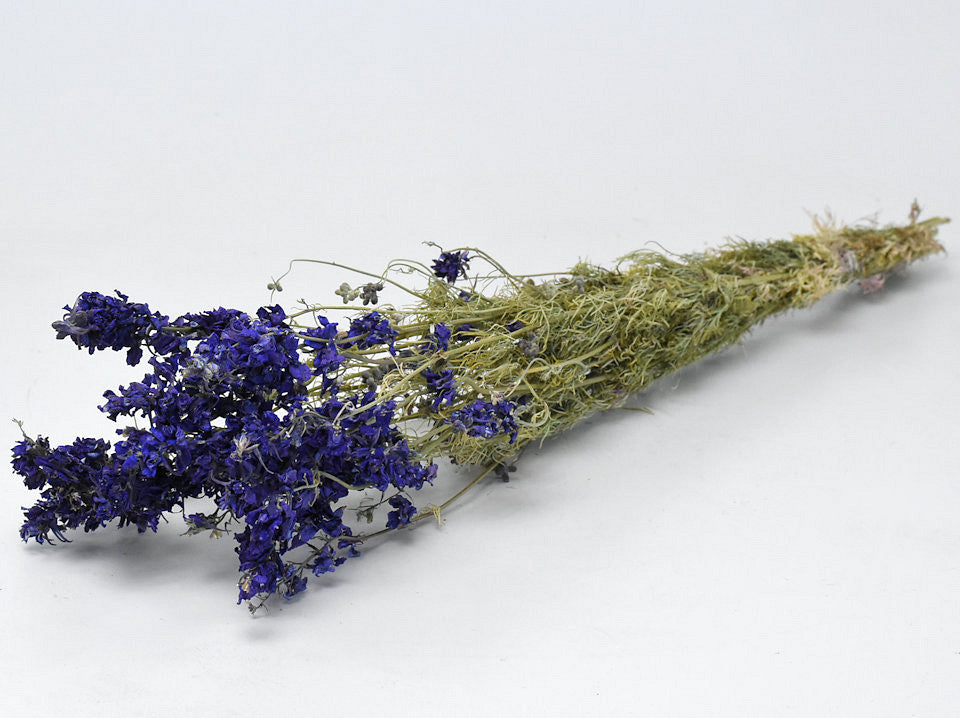 Delphiniumblau 65 cm 2. Qualität