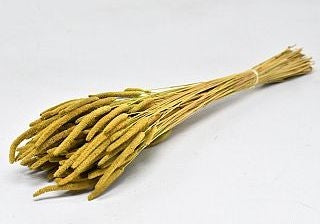 Getrocknetes PHELEUM CEPENSIS YELE 150 Gramm