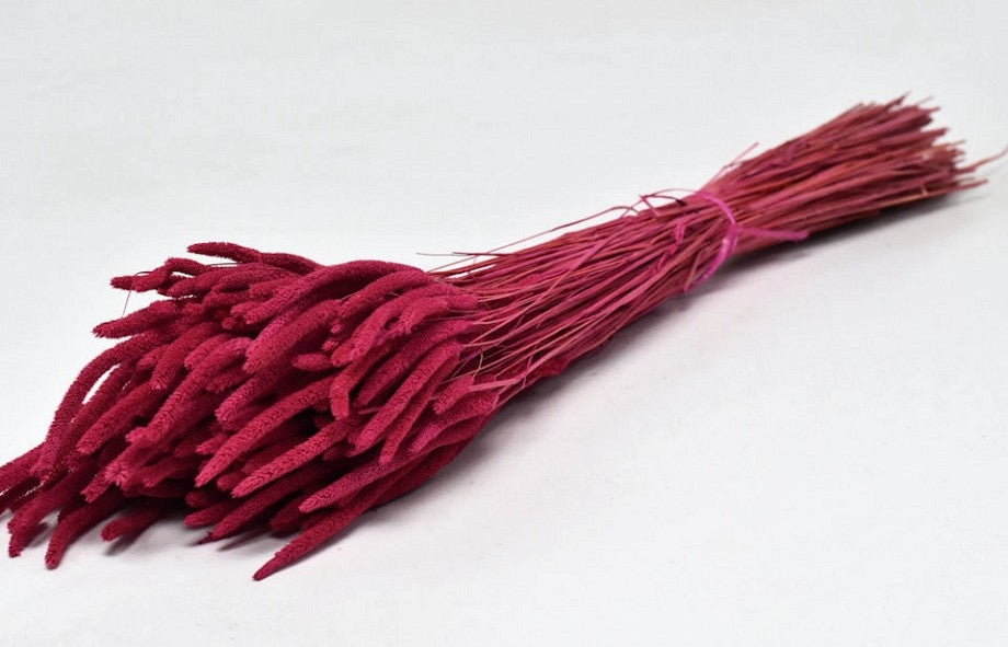 Getrocknete Phleum Stensis Raspberry 150 Gramm