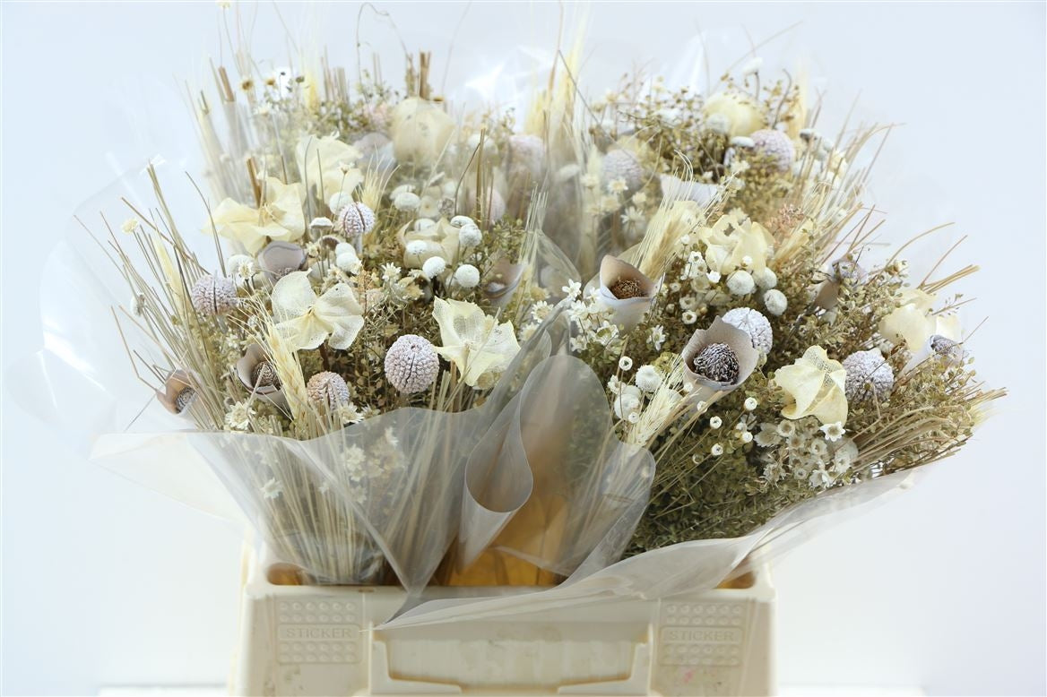 Getrocknete Bouquet -Fanasie bleichten