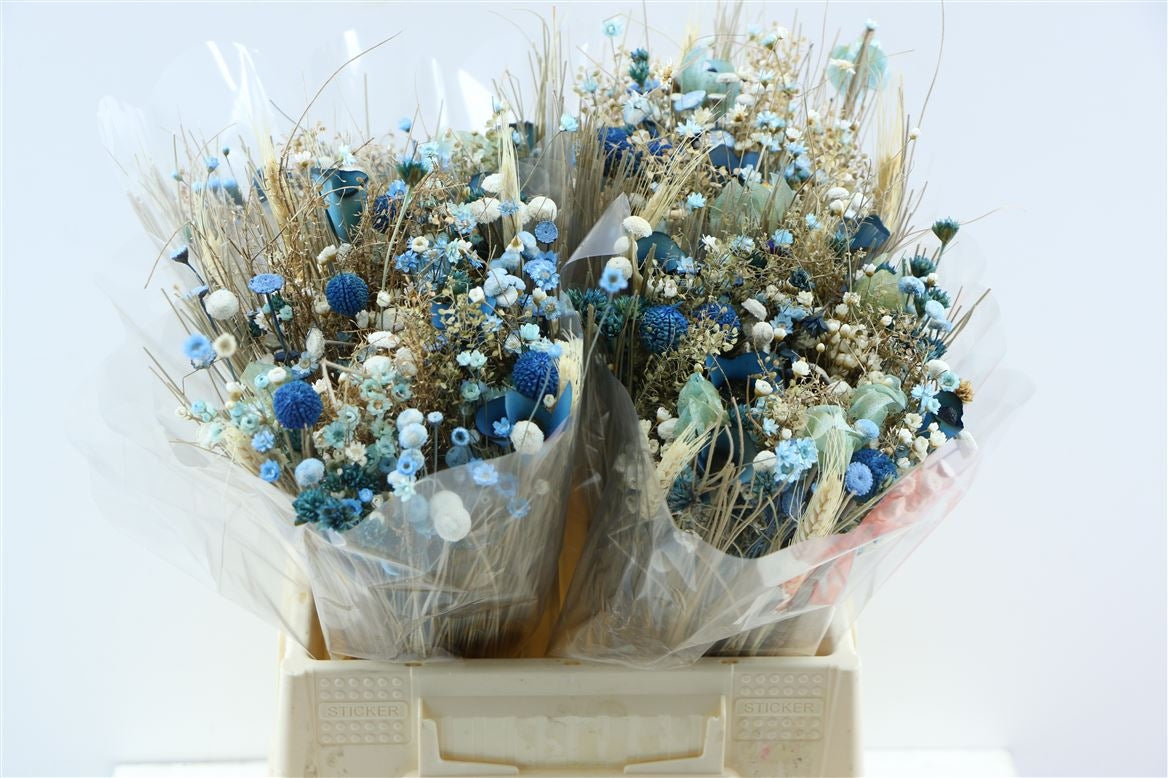 Getrocknete Bouquet -Fanasie hellblau