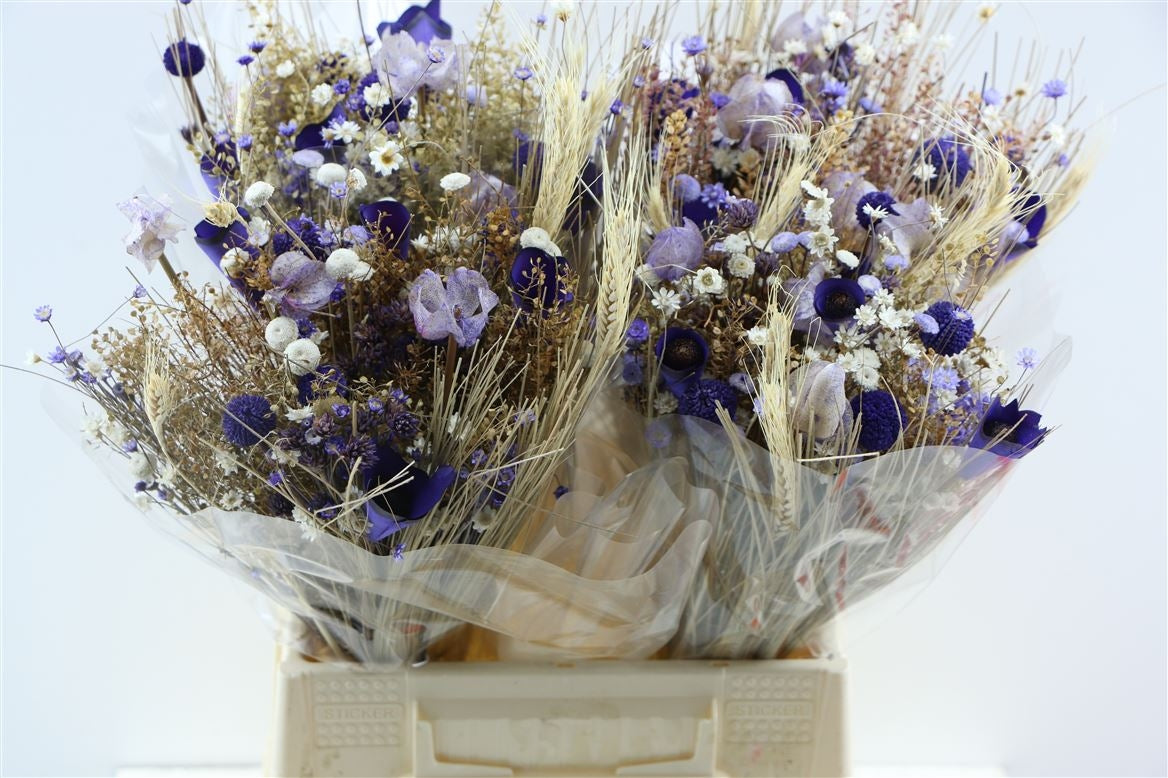 Getrocknete Bouquet -Fanasie milcha