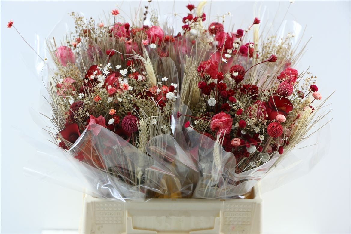 Getrocknete Bouquet -Fanasie rot