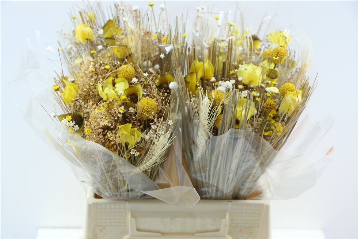 Getrocknete Bouquet -Fanasie gelb