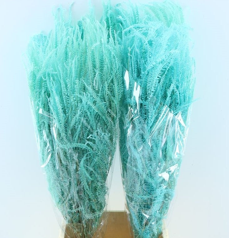 Wholecho bleichte Aqua Blue erhalten getrocknet