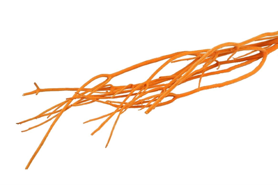 Mitsumata -Zweige strömen orange pro 3 Zweige